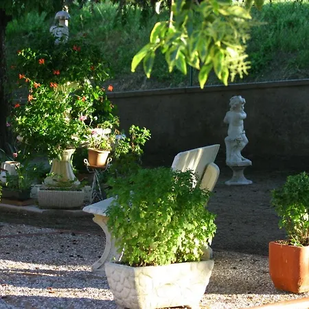 Lilli 3 * Ferrara
