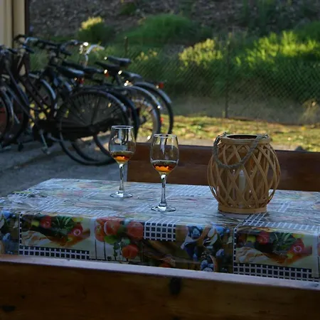Apartment Lilli 3 *
