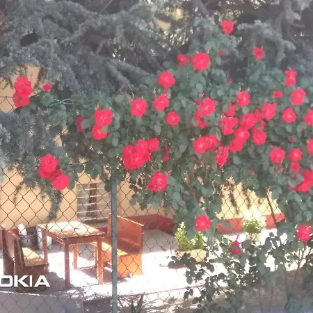 Lilli 3 * Феррара