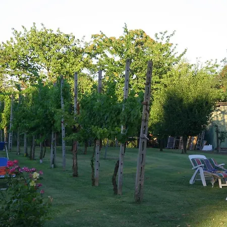 Lilli 3 * Ferrare