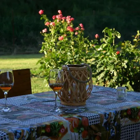 Lilli 3 Феррара