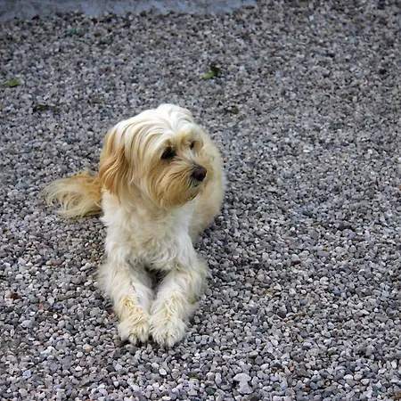 Апартаменты Lilli 3 Феррара