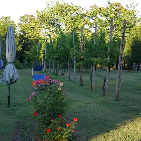 Lilli 3 Lejlighed Ferrara