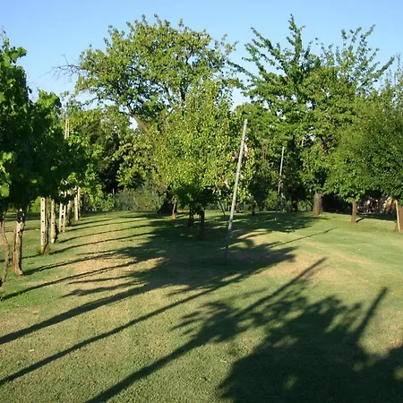 Lilli 3 Феррара