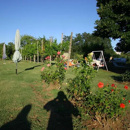 Lilli 3 * Ferrara