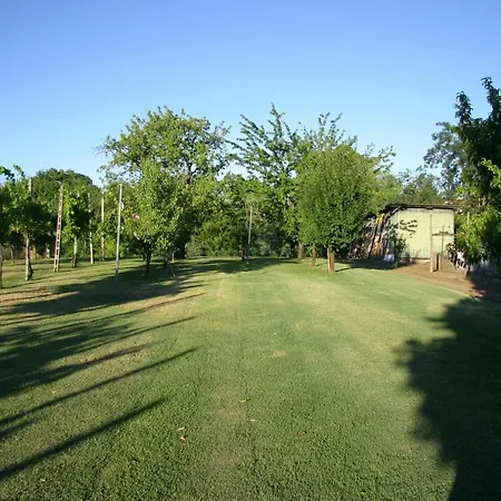 Lilli 3 Апартаменты Феррара