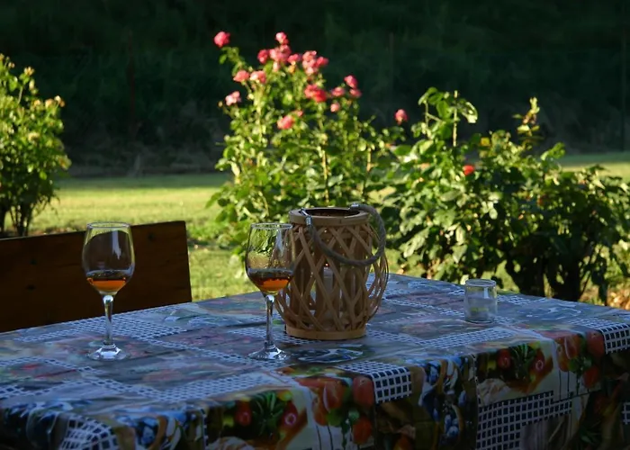 Lilli 3 Φεράρα