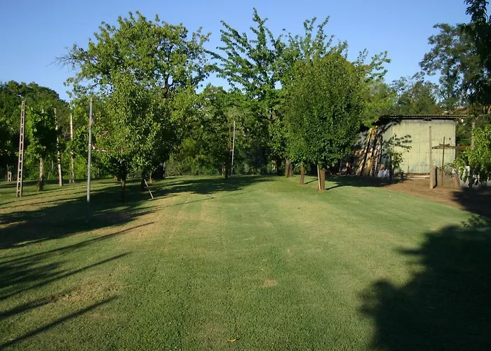 Lilli 3 公寓 费拉拉