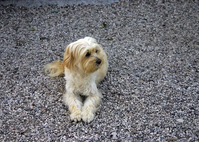 Διαμέρισμα Lilli 3 Φεράρα