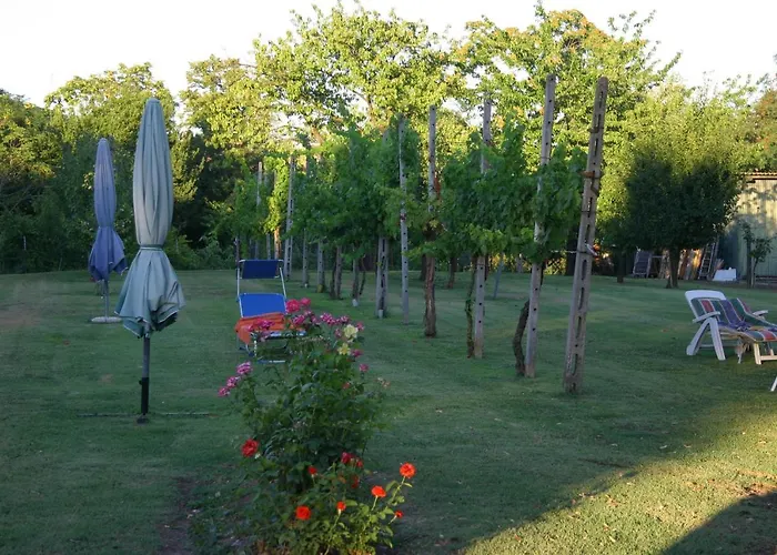 Lilli 3 公寓 费拉拉